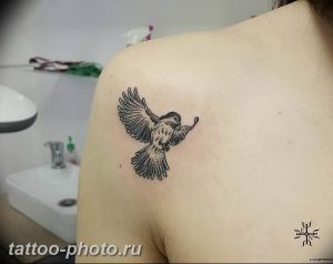 рисунка тату воробей 03.12.2018 №023 - photo tattoo sparrow - tattoo-photo.ru